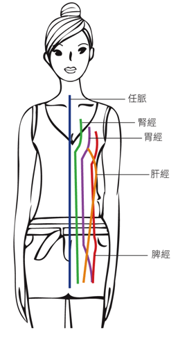 通过腹部的人体经络