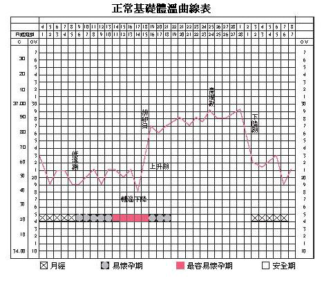 认识基础体温